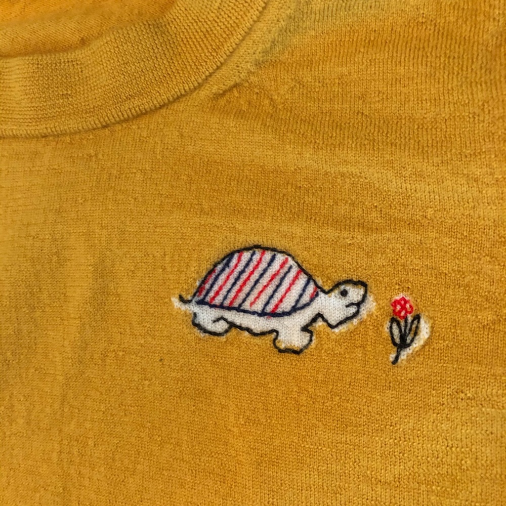 J. Crew Sweater with Precious Turtle Detail